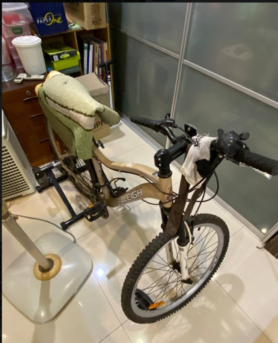 Raleigh Mountain Bike